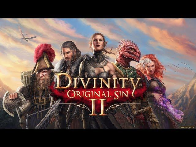 Divinity Original Sin 2 черный кот в форте Радости