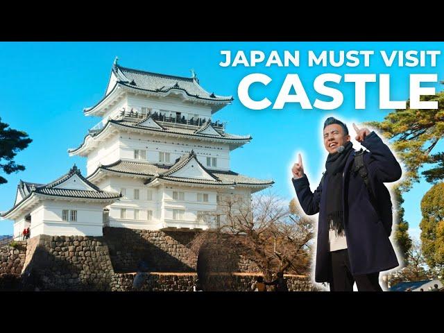 Odawara Day Trip: Historic Castle, Culture, and Delicious Eats