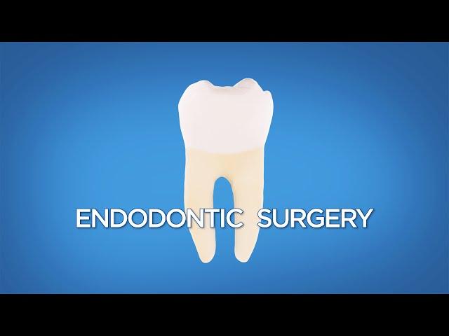 Endodontic Surgery