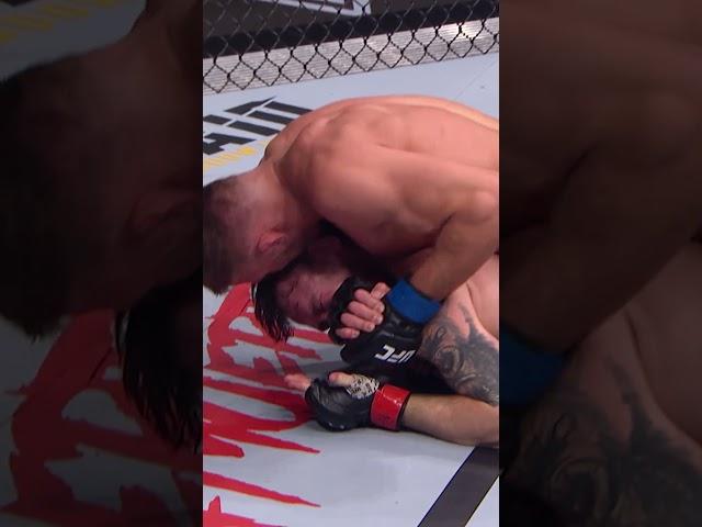 Dricus Du Plessis ️ #ufc312