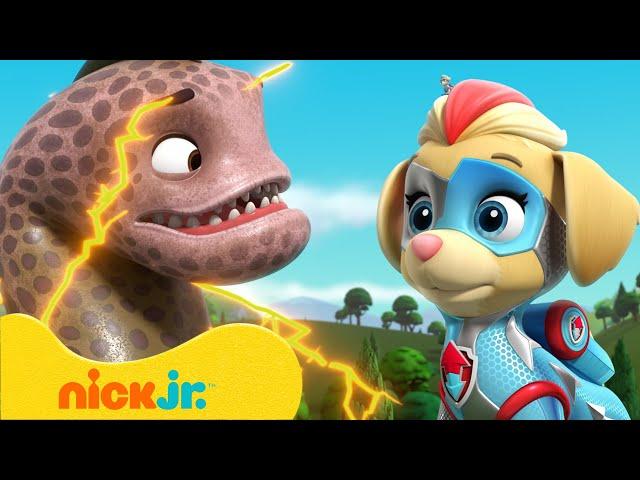 PAW Patrol | Mighty Pups vs. Riesentiere! | Nick Jr. Deutschland