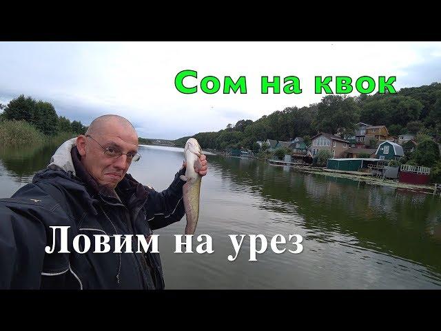 СОМ НА КВОК. Ловим на УРЕЗ. Первый опыт.