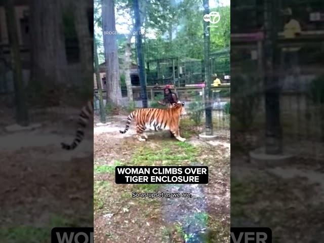 She was nearly bitten by the tiger