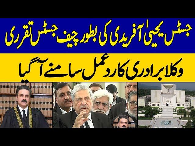 Lawyers Reaction In Justice Yahya Afridi Appointment As Chief Justice Of Pakistan | Dawn News