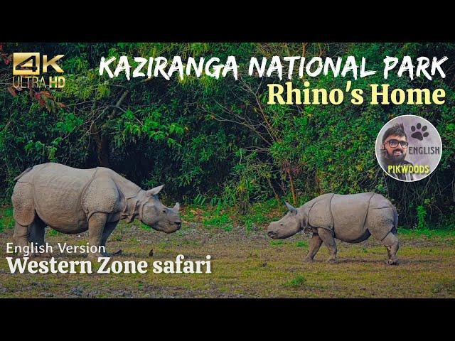 Kaziranga National Park | The Home of Rhinoceros in Assam, India