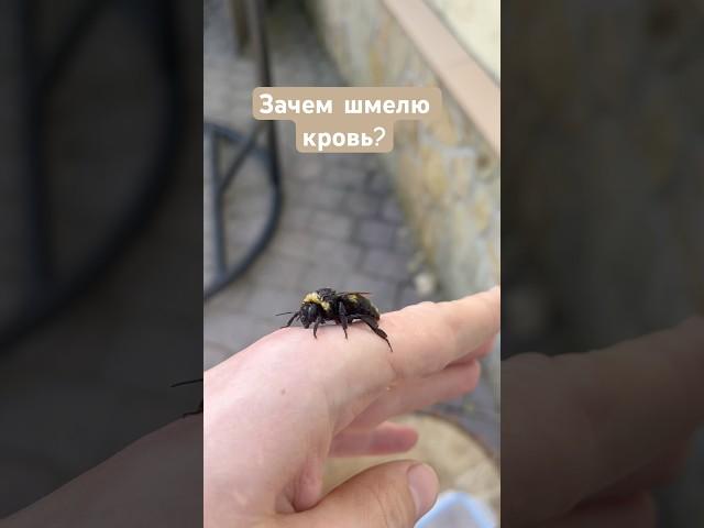 Материал подготовлен при поддержке гранта Минобрнауки России в рамках Десятилетия науки и технологий
