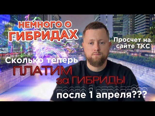 Немного о ГИБРИДАХ | Сколько ПЛАТИМ за ГИБРИД после 1 апреля? ТКС | Часть 2