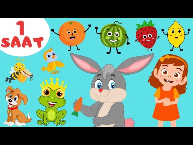 Favorite Baby and Kids Songs Together | 60 Minutes | Cartoon | Eggmen