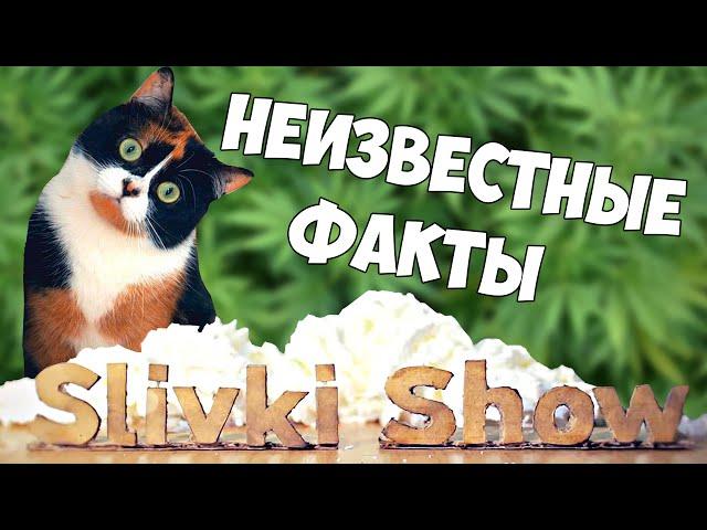 7 ФАКТОВ О СЛИВКИ ШОУ, О КОТОРЫХ ВЫ НЕ ЗНАЛИ | Куки КОТ или КОШКА?