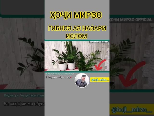 Ҳоҷи Мирзо.Гипноз аз назари Ислом