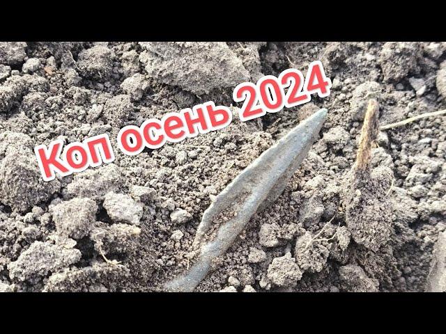 Коп осень 2024 Север Одесской области!