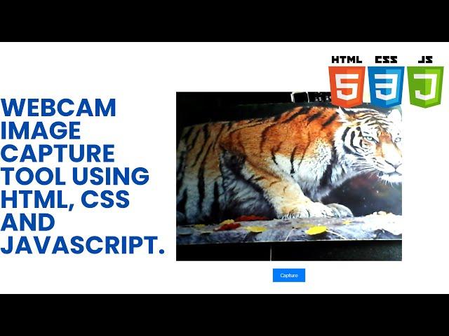 Webcam Image Capture Tool using HTML, CSS and JavaScript