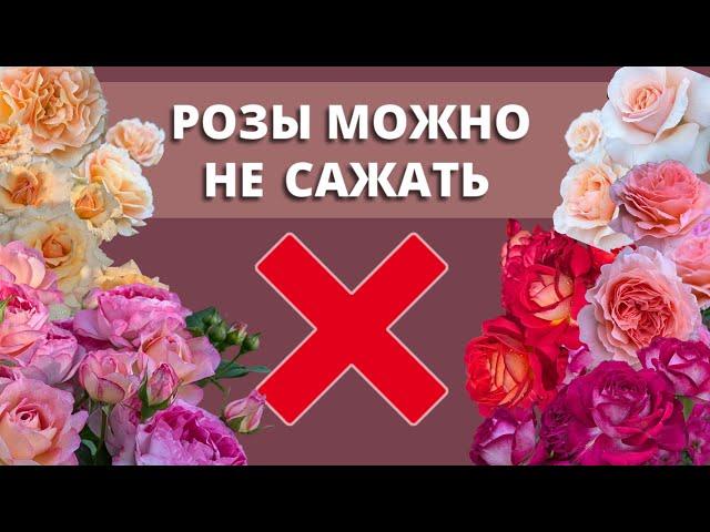 ПРИКОП ДЛЯ РОЗ НА ЗИМУ. Не можете посадить, сохраните. 29 сентября 2024 г.