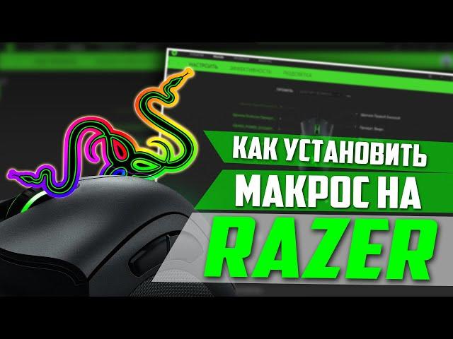 Как установить макросы на мышку Razer?