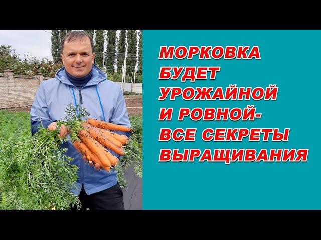 Выращивание урожайной морковки от "А" до "Я"- самые полезные советы.