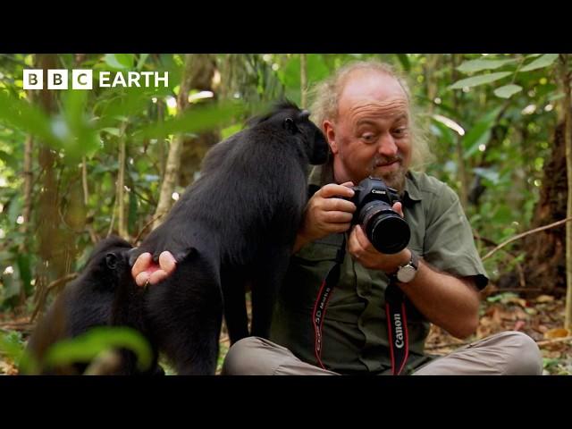 Bill Bailey Encounters Flying Frogs & Birds of Paradise | BBC Earth