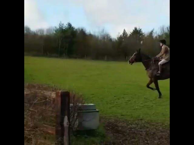 THE HUNTING NOTICE BOARD QUORN HUNT RACE RIDE