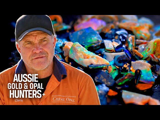 The Cheals Uncover STUNNING Black Opal Boosting Their Season to $585,000! | Outback Opal Hunters