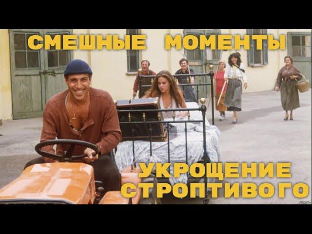 Смешные моменты Укрощение строптивого