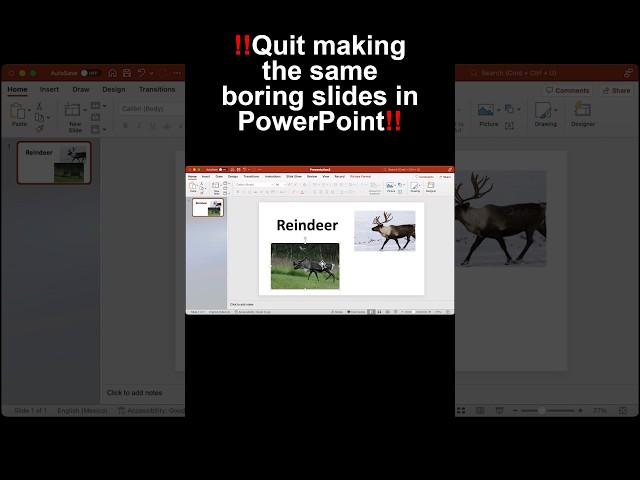 Stop making boring slide in PowerPoint instead try this! #powerpoint  #reindeer #powerpointdesign