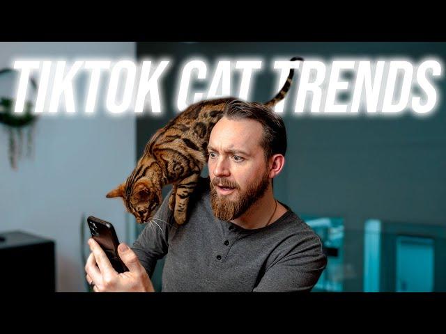 TIKTOK Cat Challenges with our BENGAL CAT || Weekly Vlog