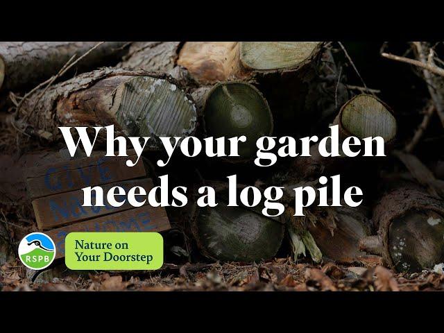 Why your garden needs a log pile | RSPB Nature on Your Doorstep