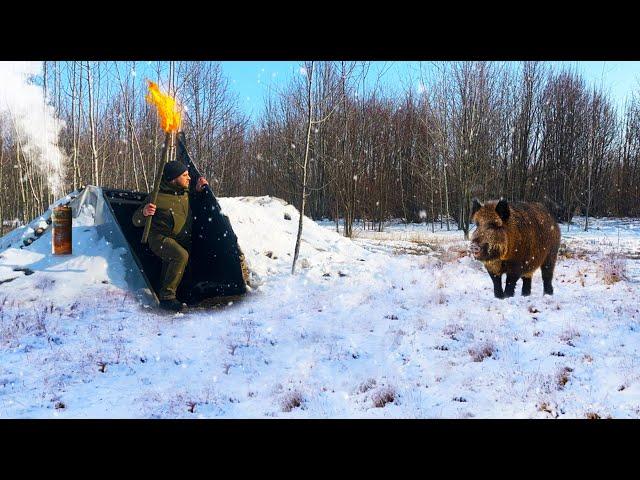 Building of a winter shelter in the forest