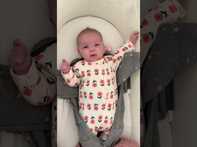 It looks like we have another blue eyed beauty! Daphne Bleu  #momsoftiktok #2under2mom #2under2
