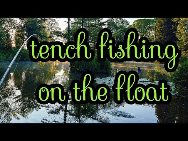 Tench Fishing On The Float - Grimsditch Mill - Dannys Angling Blog