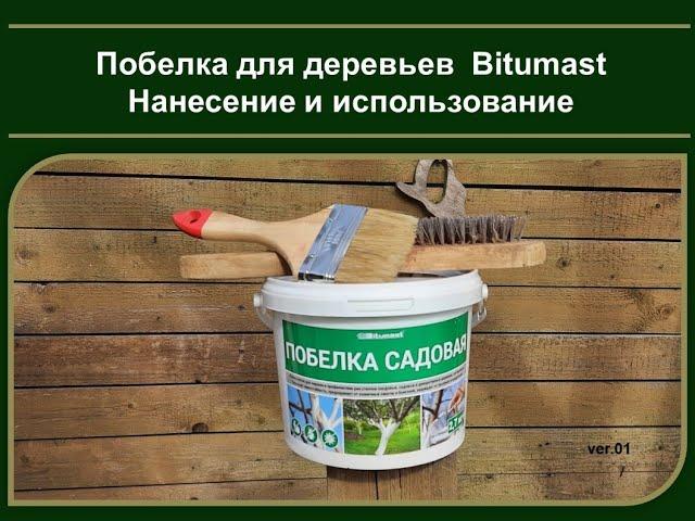 Побелка для деревьев Bitumast. Нанесение и использование.