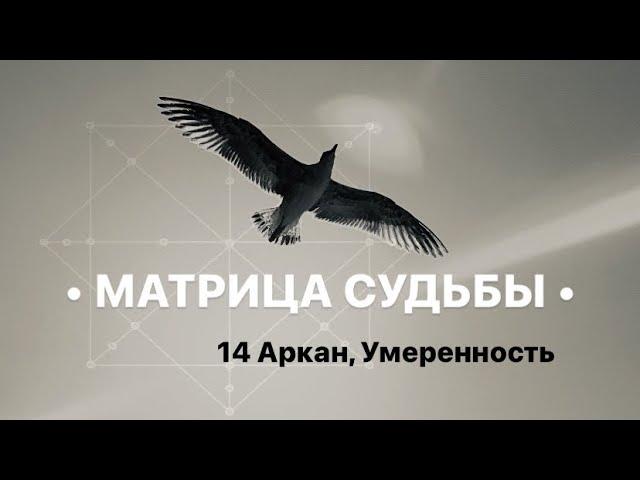 14 Аркан, УМЕРЕННОСТЬ, МАТРИЦА СУДЬБЫ.