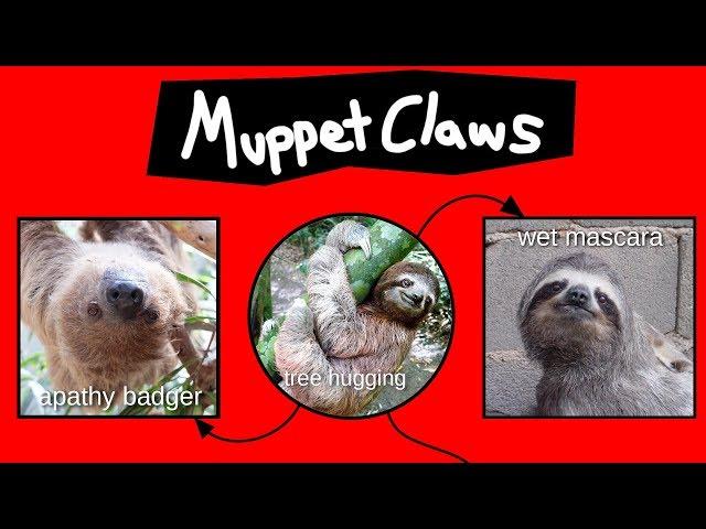 Muppet Claws Explained