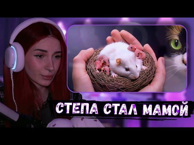 НЕЛЯ РЕЙ СМОТРИТ: СТЕПА ЗАБЕРЕМЕННЕЛ И РОДИЛ ДЕТЕЙ ‍️ | SlivkiShow