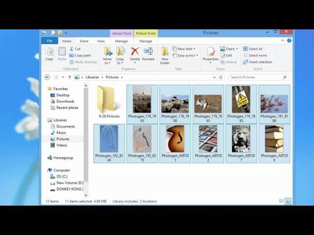 How to Transfer Pictures From Windows Photo Gallery to a Flash Drive : Photo & Video Editing