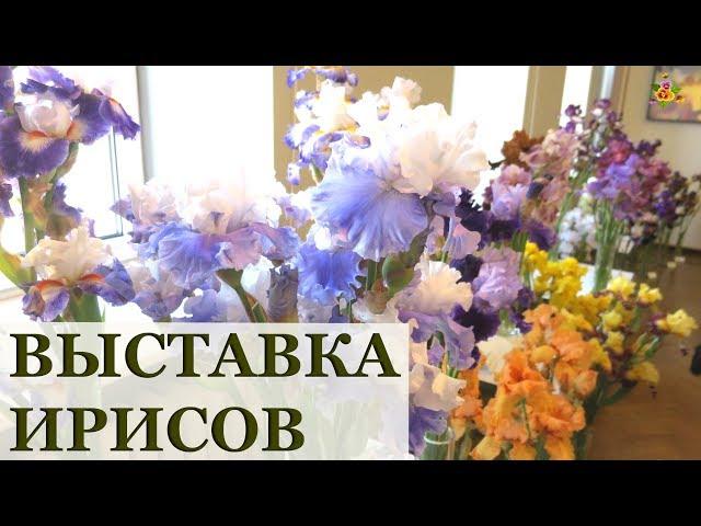 Я и не думала, что они так прекрасны! Выставка ирисов / 53 сорта в одном видео / Irises in Latvia