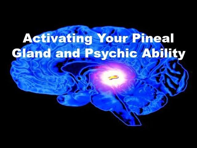 Activating Your Pineal Gland and Psychic Ability - Bernard Alvarez