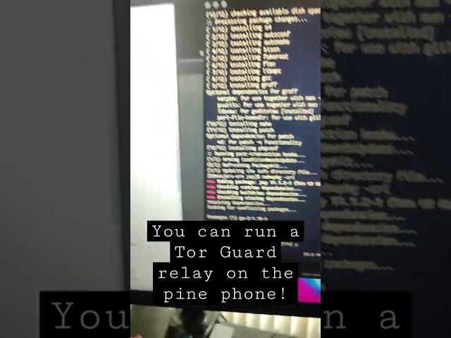 Running a Tor Guard relay From my Pinephone!!!!