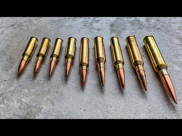 Best Ammo Cartridges for Long Range Shooting 2022 - Madman Review