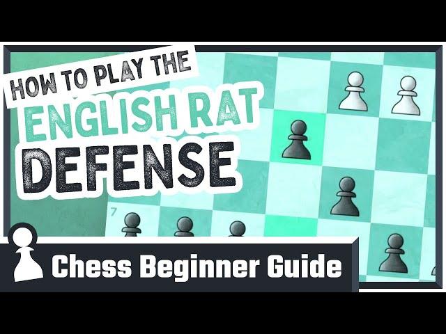 How to Play the English Rat Defense: Chess Beginner Guide to Chess Openings