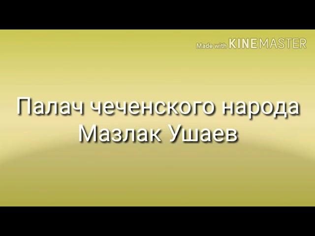 МАРЗЛАК. ПАЛАЧ ЧЕЧЕНЦЕВ. ОСКАРБЛЁНЫЙ ИНГУШОМ. МОЖЕТ ПО ЭТОМУ ЧЕЧЕНЦЫ НЕ ЛЮБЯТ ИНГУШЕЙ?