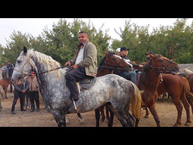 Shahidon ot bozori bugungi narhlar bilan tanishing 22.10.2024yil