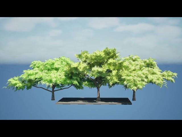 Tropical Rain Tree 3D Animation with unreal engine