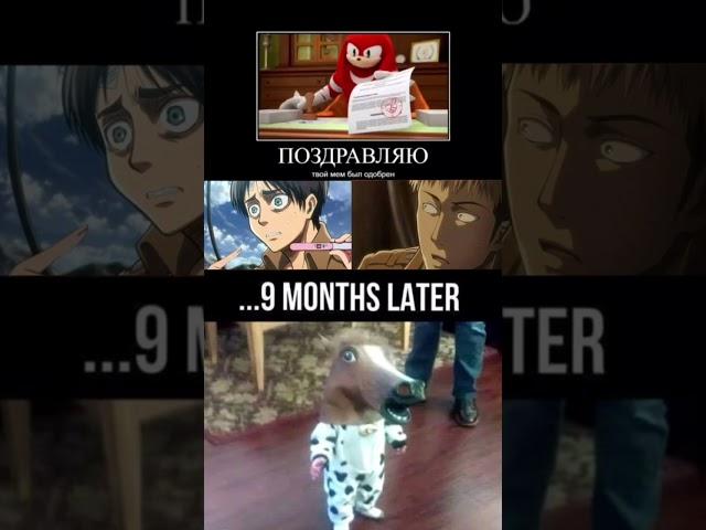 Одобрено? #aot #attackontitan #memes