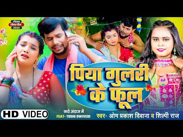 #4K_VIDEO | #Om Prakash Diwana | #Shilpi Raj का सबको रुला देने वाला गाना | पिया गुलरी के फूल | #Sad