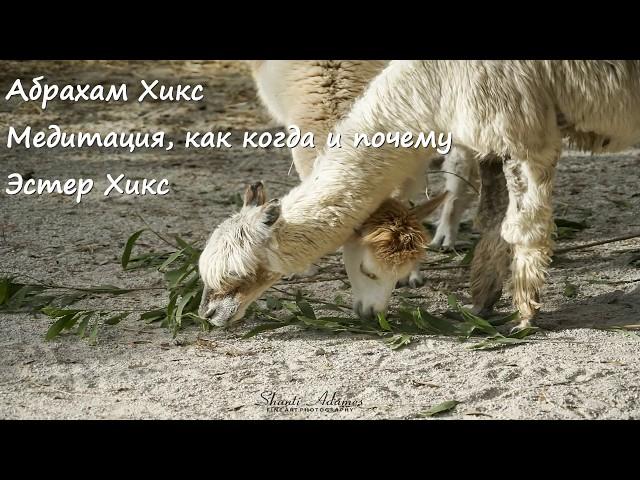 Абрахам Хикс – Медитация, как когда и почему (с субтитрами) – Эстер Хикс