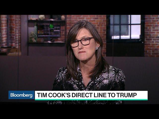 Tim Cook's Direct Line to Trump Is Good News for Tech, Ark's Cathie Wood Says