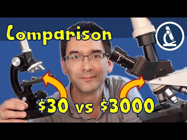 TOY Microscope v.s. "REAL" Microscope  Why magnification is not everything