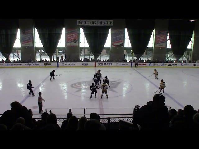 Upper Arlington vs Olentangy Liberty - OHSAA State Tournament - Center Ice - 3/2/25 @ Ice Haus