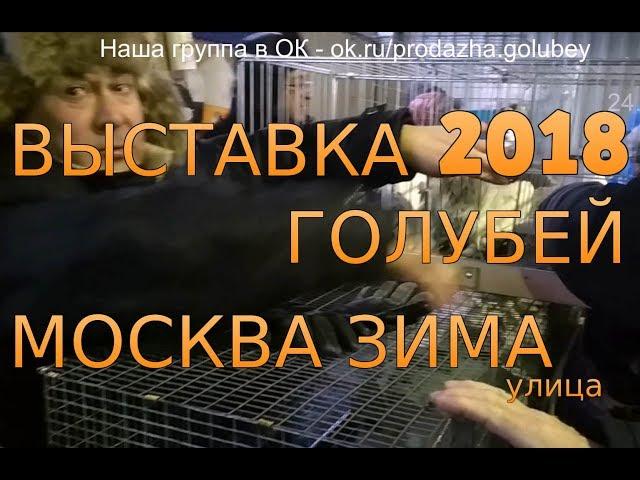 Выставка голубей в Москве 24 февраля 2018года. Улица