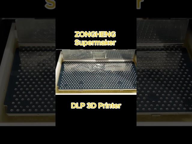 What do you think of dlp 3d printer?